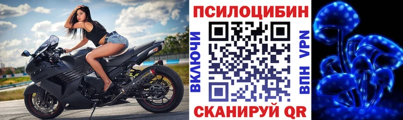 Галлюциногенные грибы Cubensis  Николаевск 